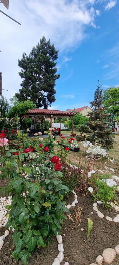 אפורי נורד Vila Rusidava מראה חיצוני תמונה